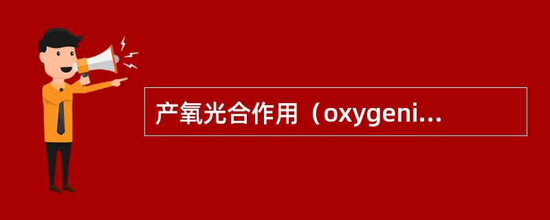 产氧光合作用（oxygenic photosynthesis）