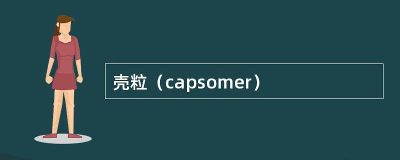 壳粒（capsomer）
