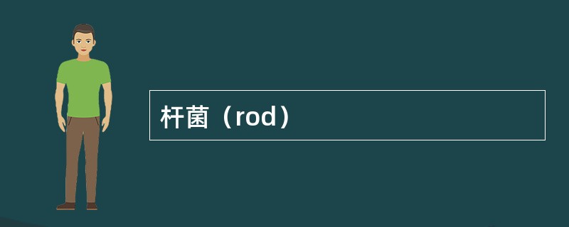 杆菌（rod）