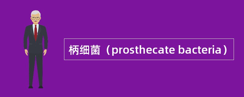 柄细菌（prosthecate bacteria）