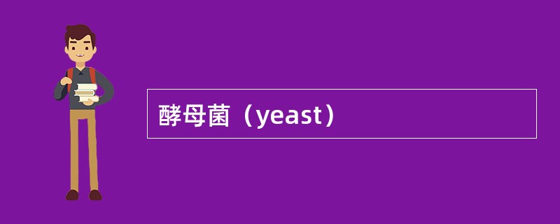酵母菌（yeast）