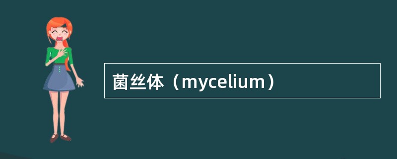 菌丝体（mycelium）