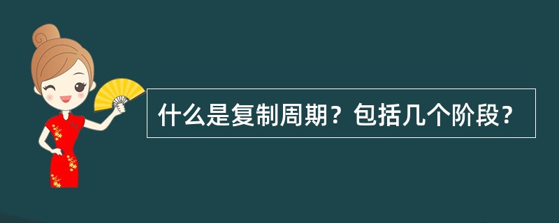 什么是复制周期？包括几个阶段？