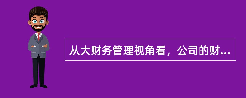 从大财务管理视角看，公司的财务会计、管理会计和侠义的财务管理均属于财务管理的范畴