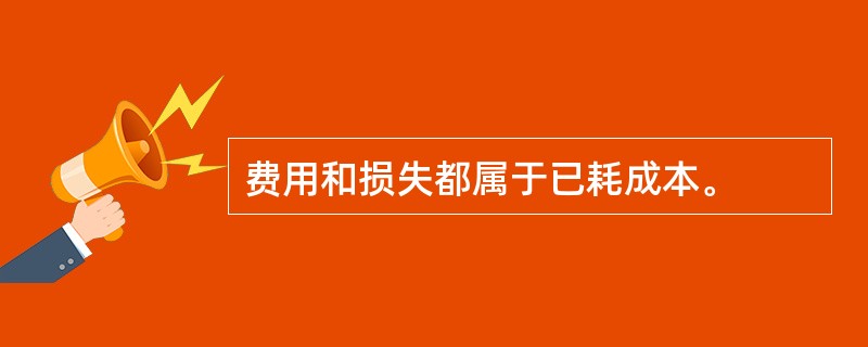 费用和损失都属于已耗成本。