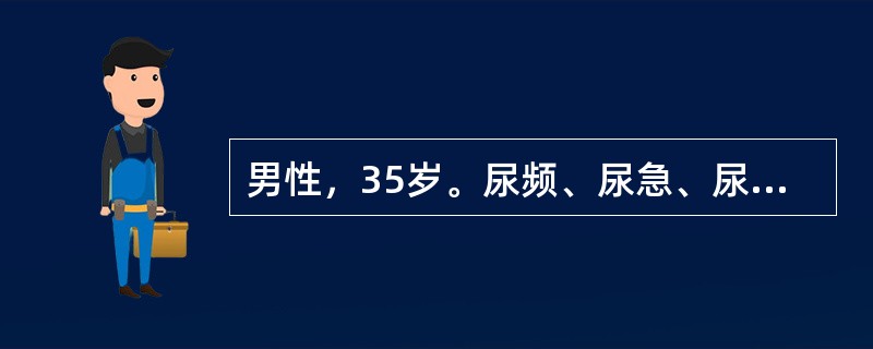 男性，35岁。尿频、尿急、尿痛2年，一般抗感染治疗不好转，时有低热、无力。尿检：