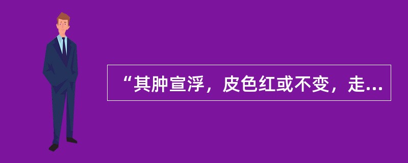 “其肿宣浮，皮色红或不变，走注甚速”，是哪种邪气致病特点（）