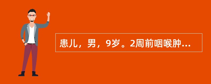 患儿，男，9岁。2周前咽喉肿痛，发热，服用抗生素后好转，2天前出现眼睑浮肿，小便