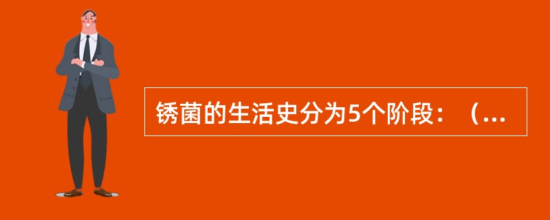 锈菌的生活史分为5个阶段：（）、锈孢子、夏孢子、（）和担孢子。