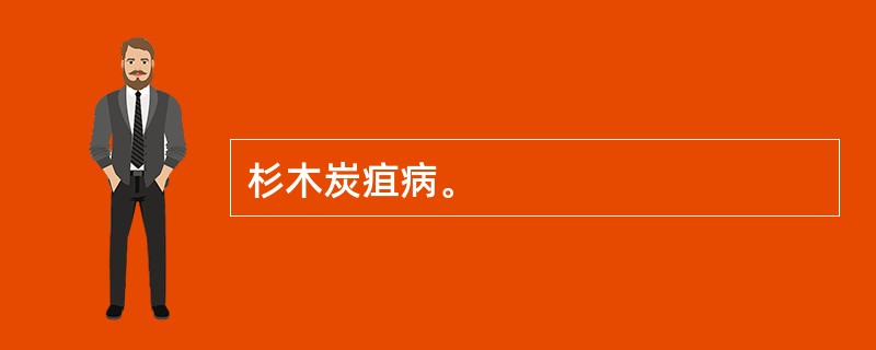 杉木炭疽病。