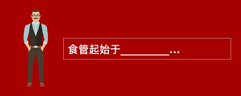 食管起始于_________下缘，成人平第_________颈椎平面，下约在__