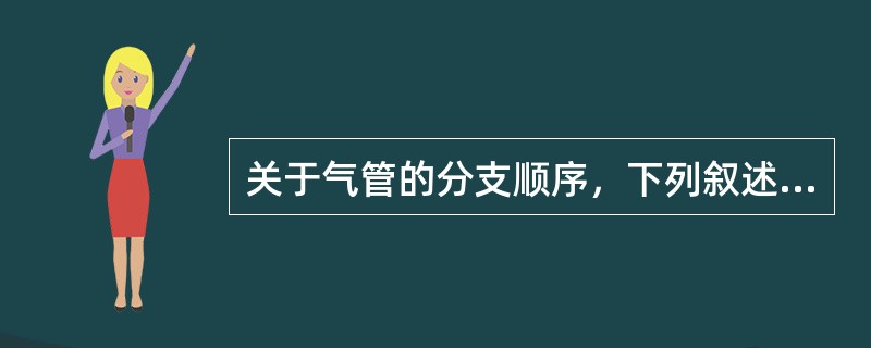 关于气管的分支顺序，下列叙述正确的是()