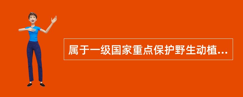 属于一级国家重点保护野生动植物药材的是（）