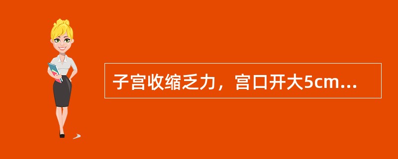 子宫收缩乏力，宫口开大5cm，无头盆不称，下列哪项处理是正确的（）。