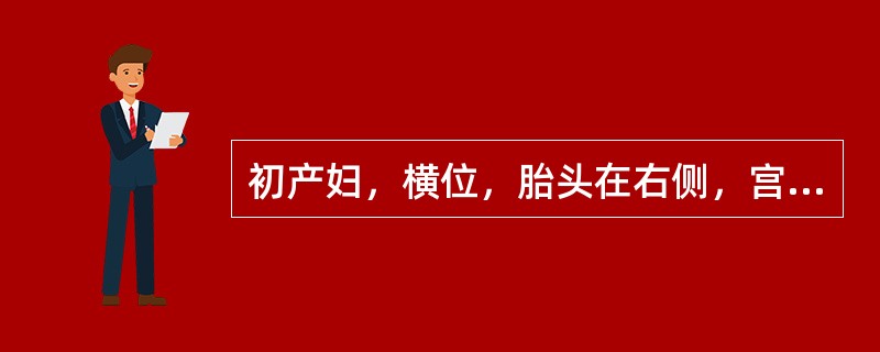 初产妇，横位，胎头在右侧，宫口开大8cm为确定胎位做阴道检查，发现胎手已娩出至阴