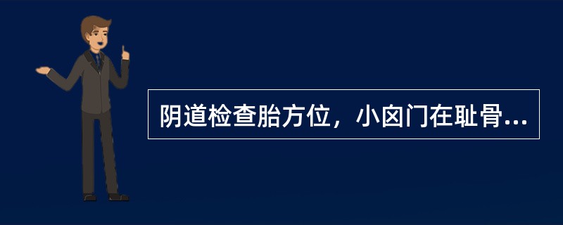 阴道检查胎方位，小囟门在耻骨联合下偏左，这可能是什么胎位（）。