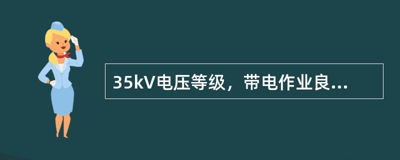 35kV电压等级，带电作业良好绝缘子最少片数为（）片。