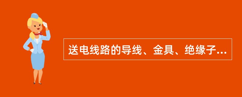 送电线路的导线、金具、绝缘子等重量、覆冰荷重及杆塔自身重量都属于（）。