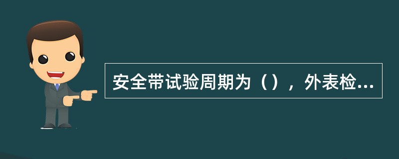 安全带试验周期为（），外表检查是（），试验静拉力是：大带（），小带是（），试荷时