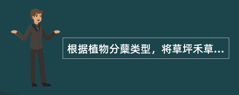 根据植物分蘖类型，将草坪禾草分为根茎型草类、疏丛型草类、密丛型草类、根茎—疏丛型