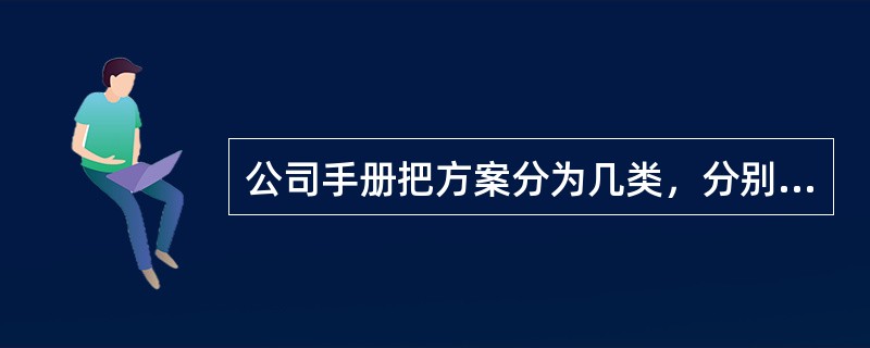 公司手册把方案分为几类，分别是？