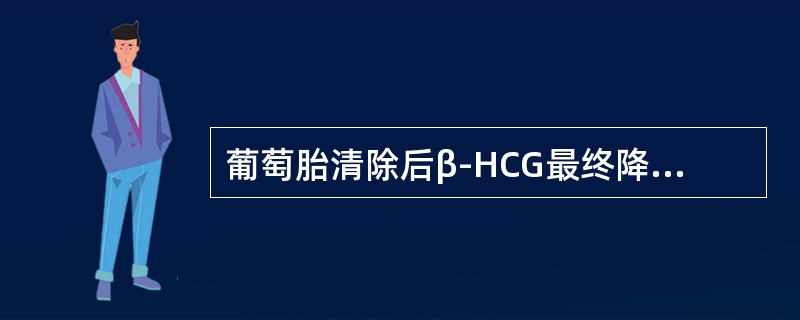 葡萄胎清除后β-HCG最终降至正常值时间以下哪个正确()