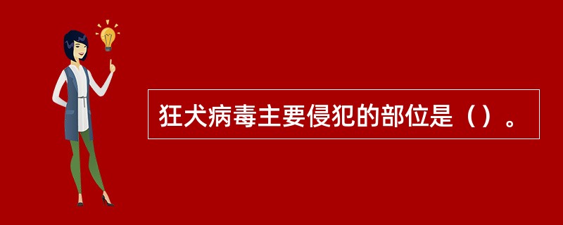 狂犬病毒主要侵犯的部位是（）。