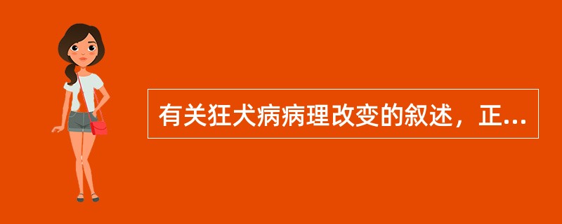 有关狂犬病病理改变的叙述，正确的是（）。