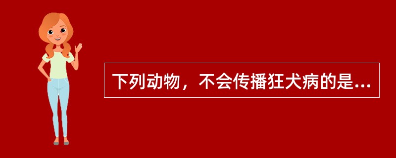 下列动物，不会传播狂犬病的是（）。