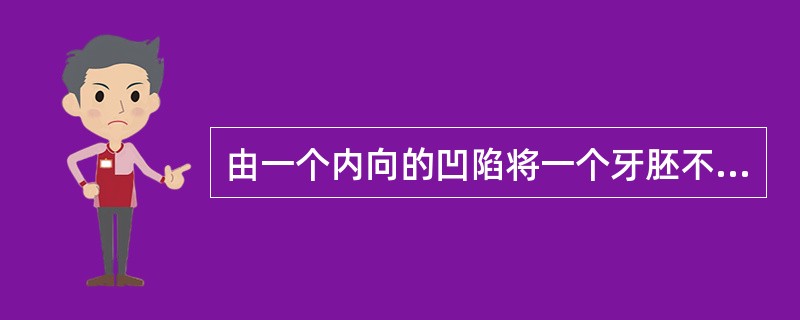 由一个内向的凹陷将一个牙胚不完全分开而形成的是（）