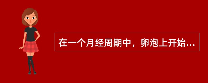 在一个月经周期中，卵泡上开始出现LH受体的时间是（）