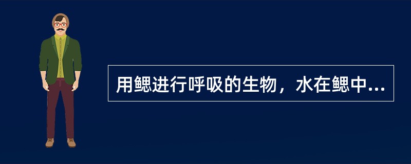 用鳃进行呼吸的生物，水在鳃中的流动方向与鳃中血液的流动方向（）