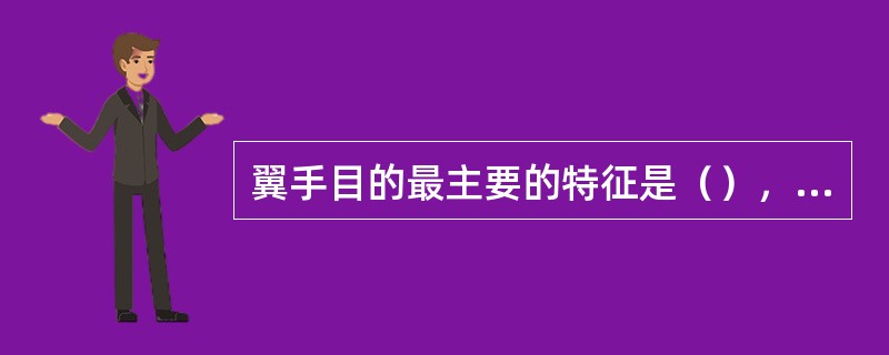 翼手目的最主要的特征是（），（）。代表动物（）。