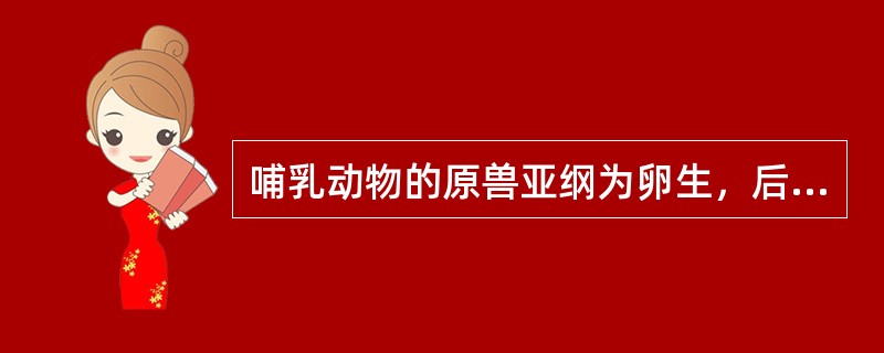 哺乳动物的原兽亚纲为卵生，后兽亚纲和真兽亚纲都是胎生具有真正的胎盘（）