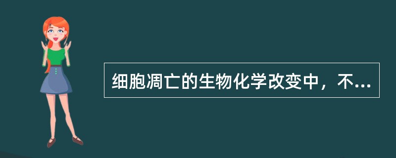 细胞凋亡的生物化学改变中，不正确的是（）。