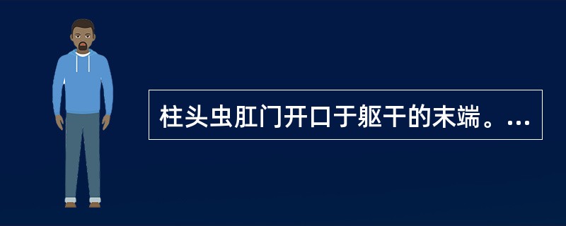 柱头虫肛门开口于躯干的末端。（）