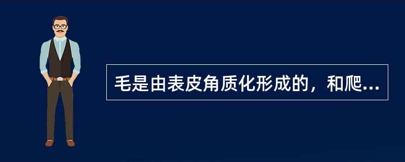 毛是由表皮角质化形成的，和爬行类的角质鳞以及鸟类的羽都是同源的。（）