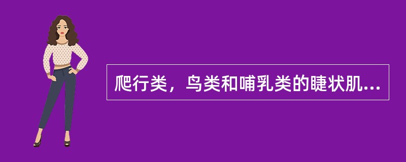 爬行类，鸟类和哺乳类的睫状肌都是横纹肌。（）