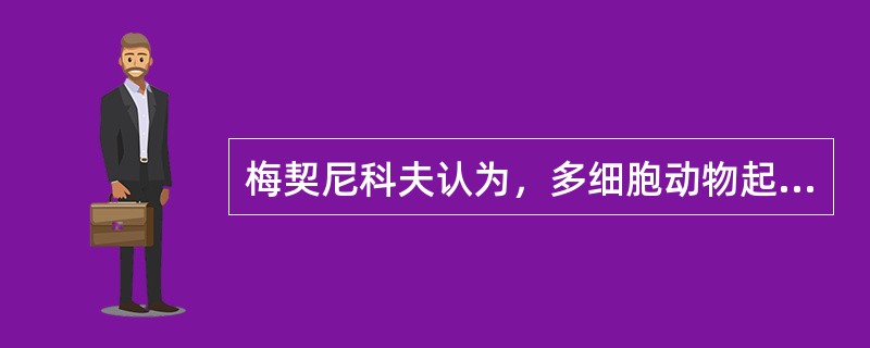 梅契尼科夫认为，多细胞动物起源于（）。