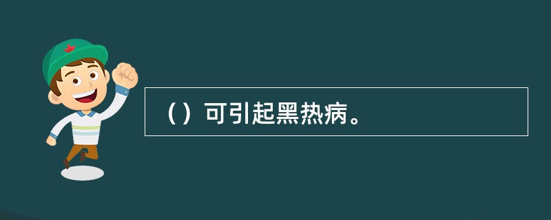 （）可引起黑热病。