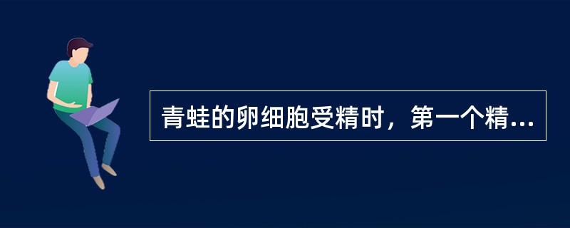 青蛙的卵细胞受精时，第一个精子的精核进入卵细胞后，卵细胞膜（）