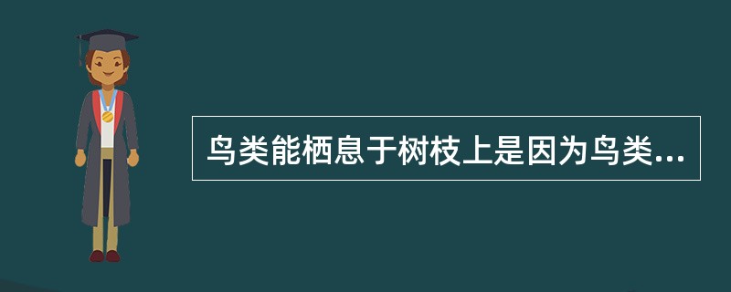 鸟类能栖息于树枝上是因为鸟类有（）。