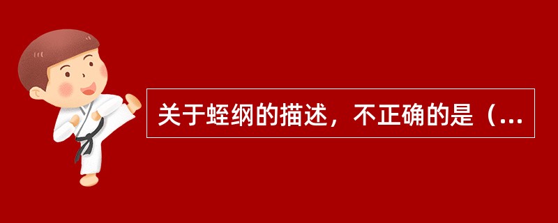 关于蛭纲的描述，不正确的是（）。