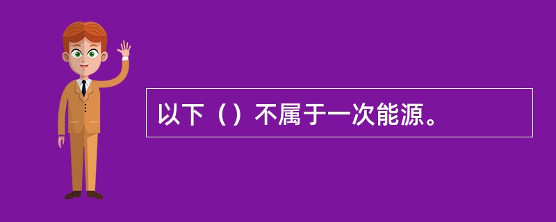 以下（）不属于一次能源。