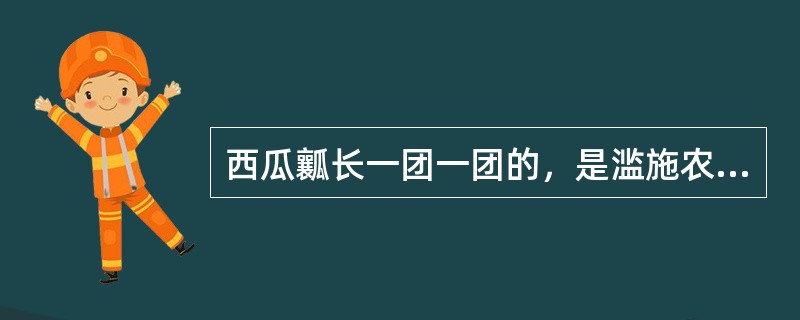 西瓜瓤长一团一团的，是滥施农药的结果。