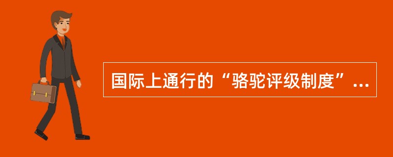 国际上通行的“骆驼评级制度”主要包括哪五项内容？