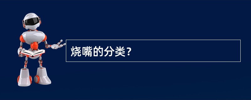 烧嘴的分类？