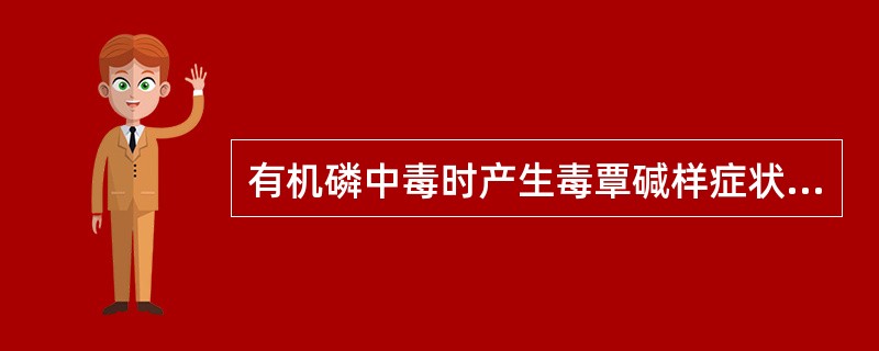 有机磷中毒时产生毒覃碱样症状的原因是（）