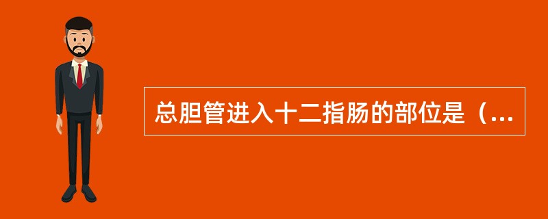 总胆管进入十二指肠的部位是（）。