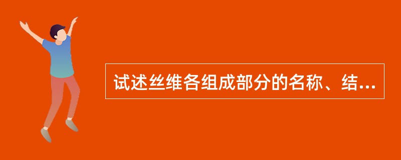 试述丝维各组成部分的名称、结构特点及其作用。